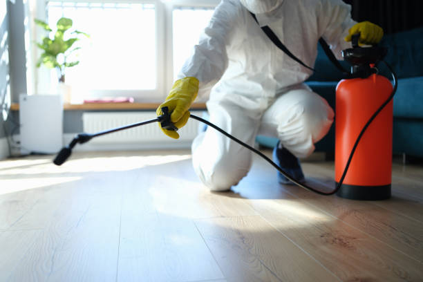 Reliable Odor Removal contractor in Troy, TX by Trauma Clean Pros